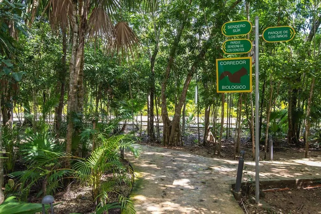 Holiday home Beautiful 4Br, Up To 8 Guests, Private Pool, 10 Min To Beach Playa del Carmen Mexico